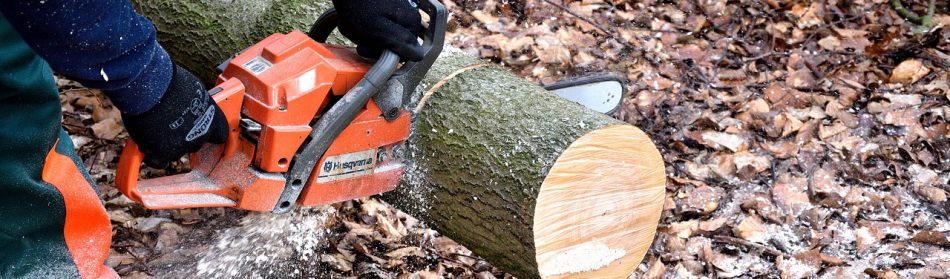 Faire son bois de chauffage : mode d’emploi et précautions
