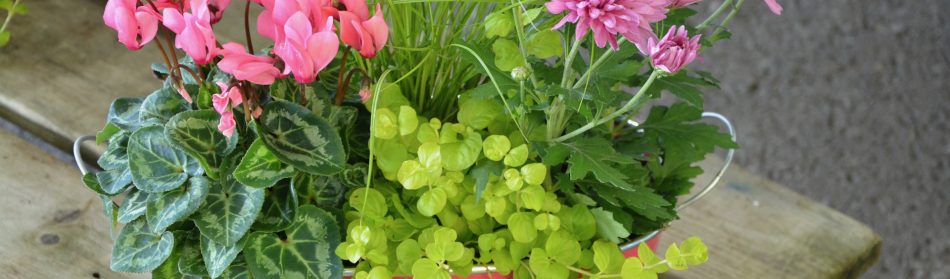 Pourquoi réaliser des compositions florales ?