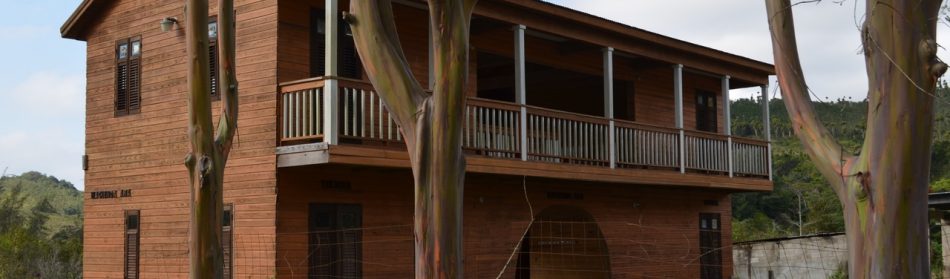 Maison ossature bois : bonne ou mauvaise idée ?