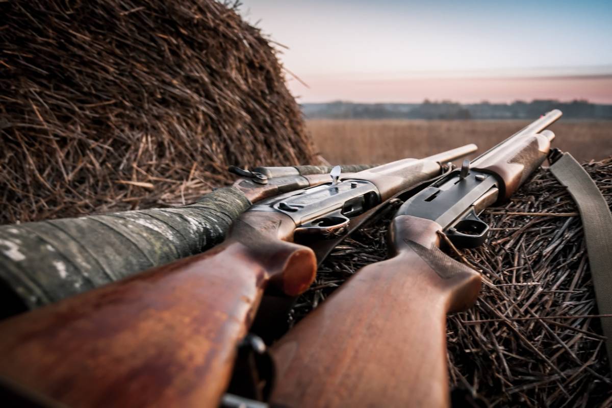 Fusil de chasse : comment le choisir ?