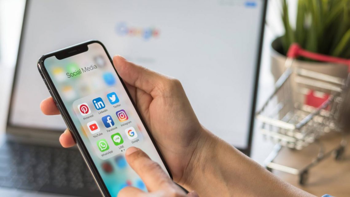Que devez-vous savoir de la visionneuse web Instagram Pikdo ?