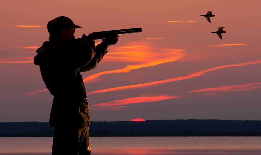 Carabine de chasse, carabine manuelle, tir, arme à feu