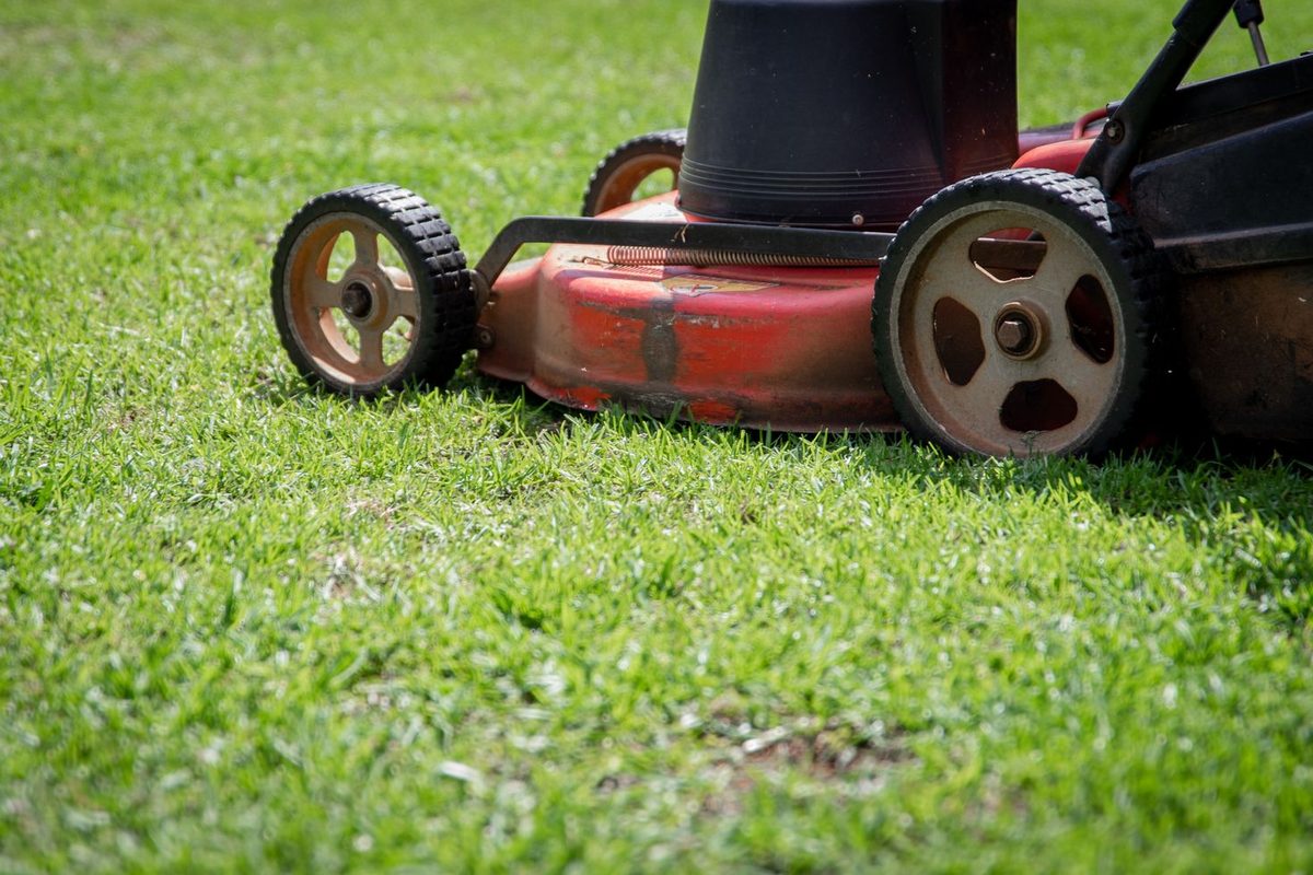 Dessous d'une tondeuse thermique posée sur l'herbe fraîchement coupée