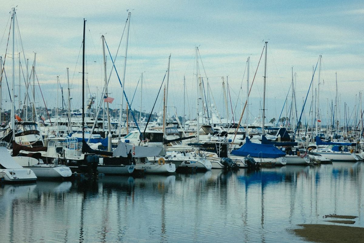 Bateaux à moteur et voiliers amarrés dans une marina