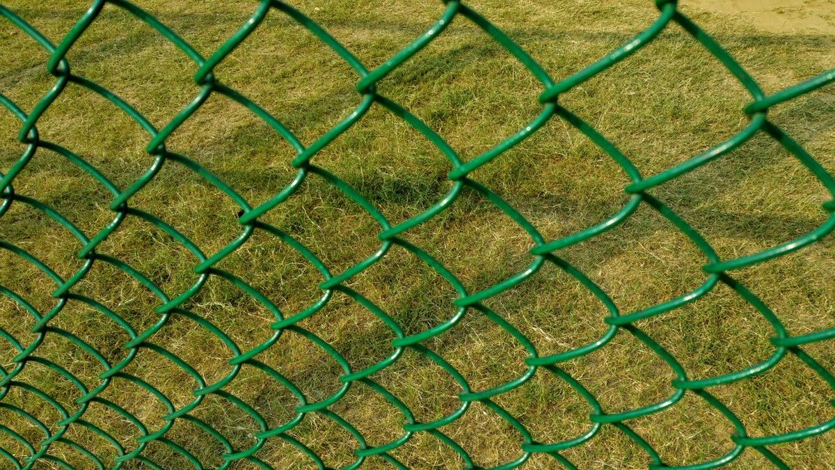 Grillage vert plastifié tendu devant une pelouse