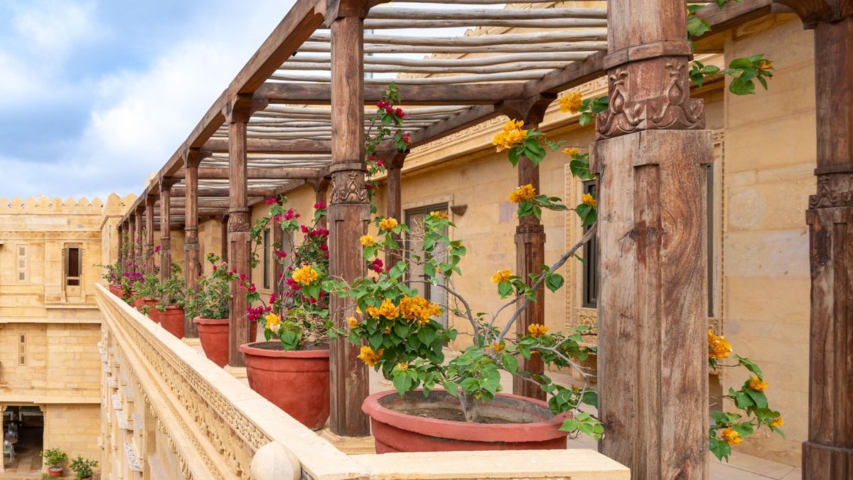 Pergola en bois couverte de bougainvillier au-dessus d'une terrasse
