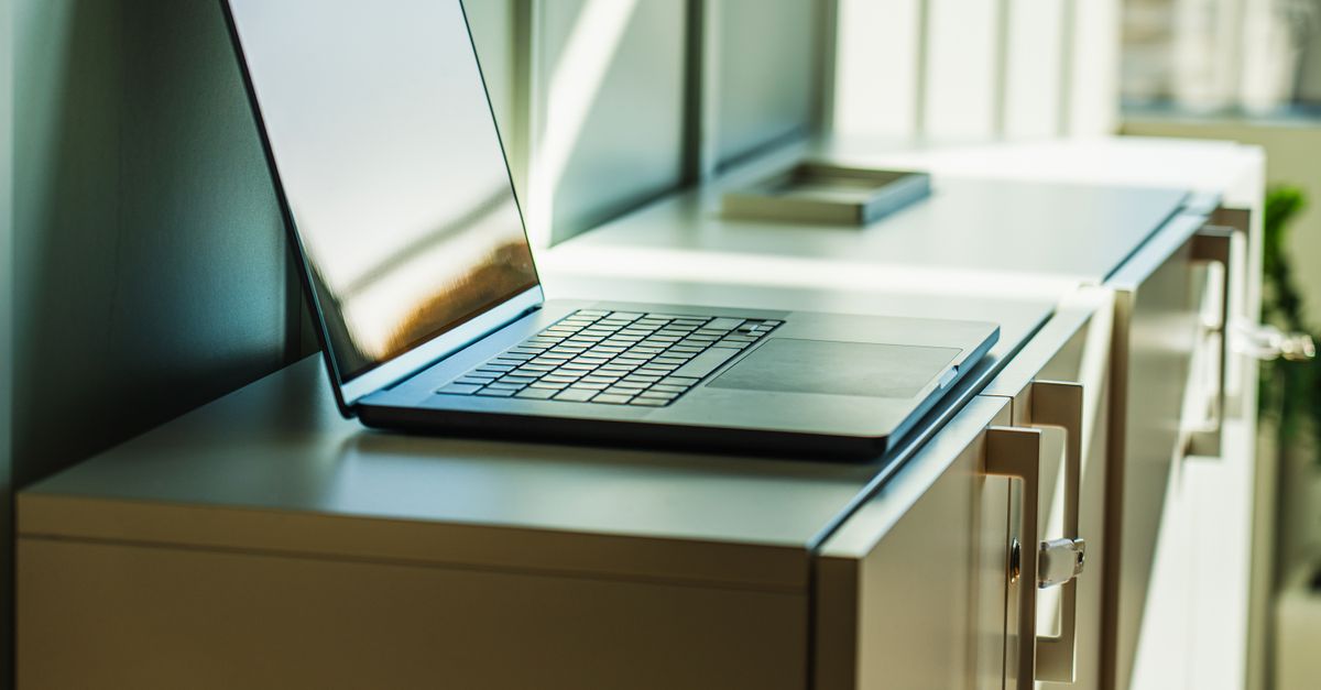 Capture d'écran des propriétés du disque dur sur un PC Windows