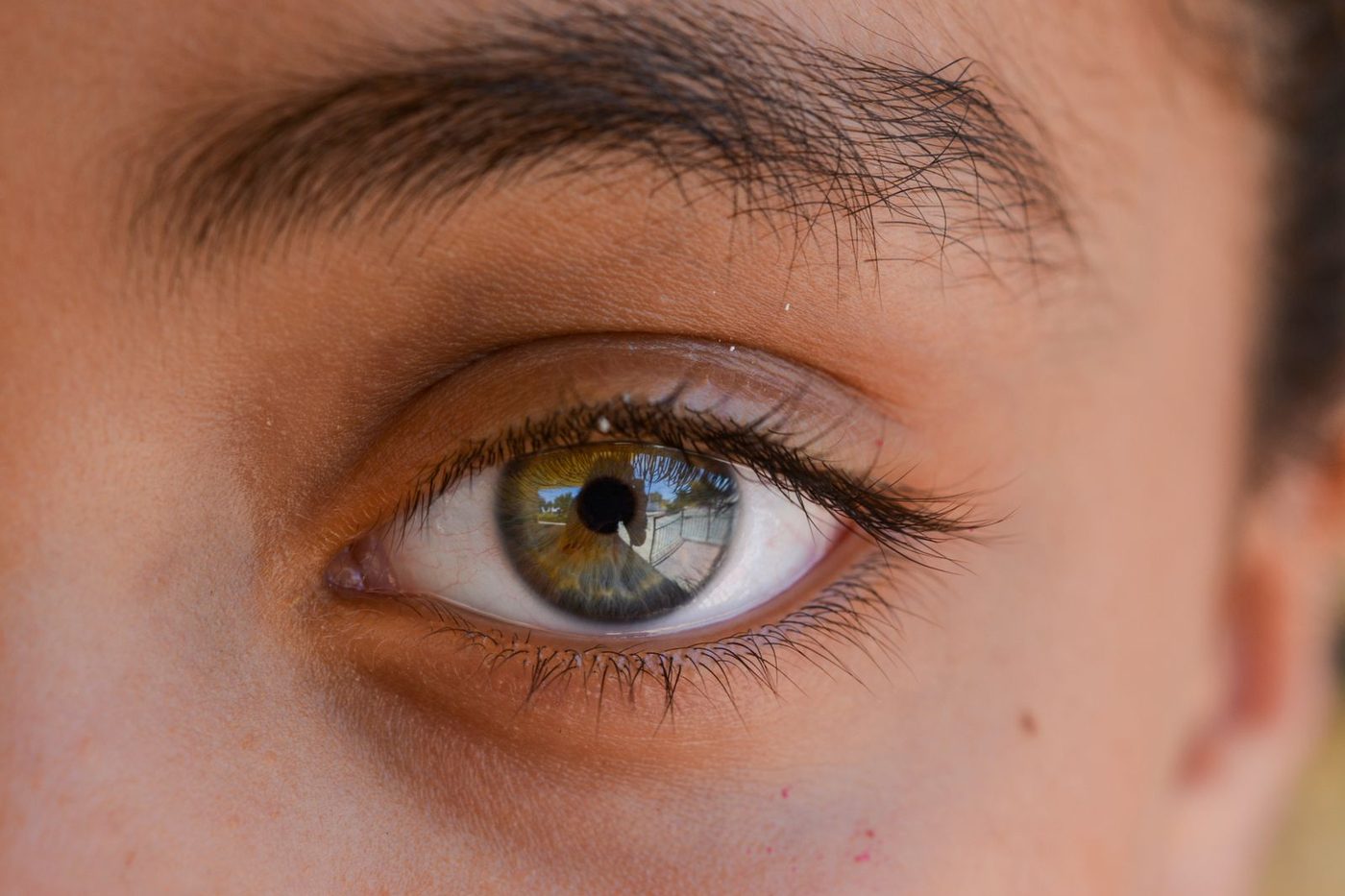 Gros plan sur un œil à l'iris noisette, vert en périphérie et brun au centre