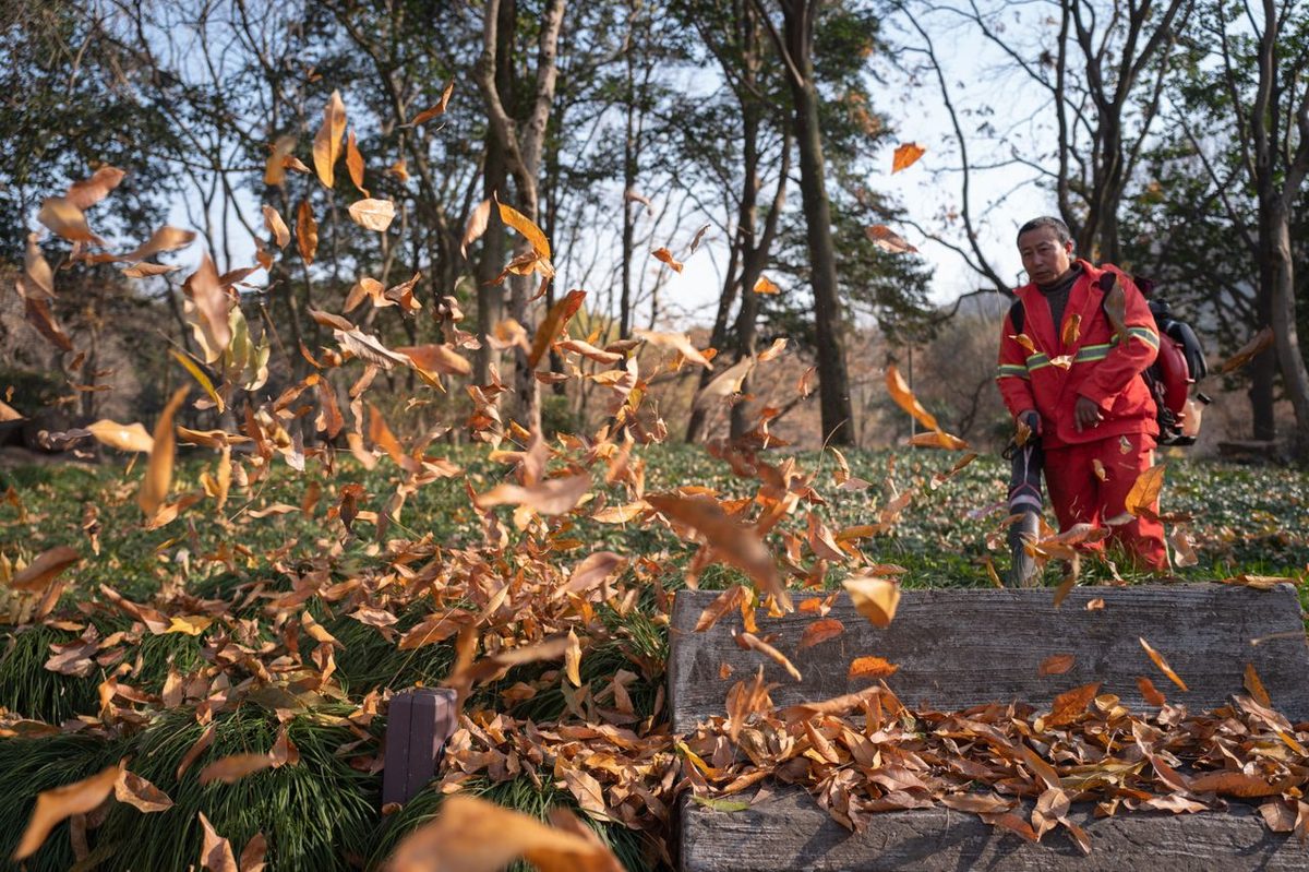 Personne utilisant un souffleur pour rassembler des feuilles mortes